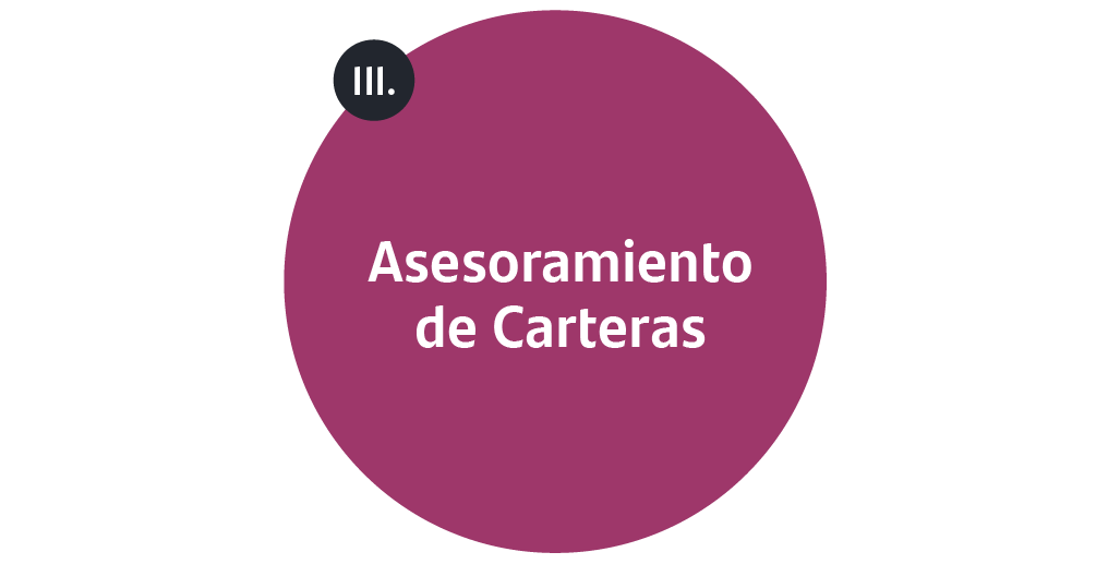 Asesoramiento-de-carteras