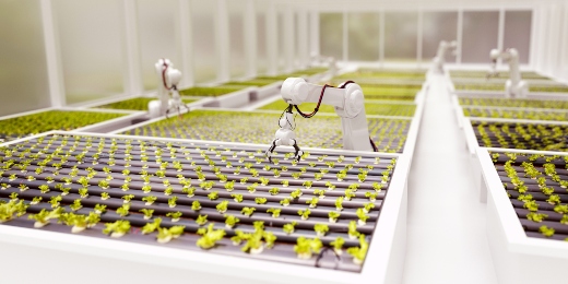 ¿El agua, la energía o los alimentos moverán la economía del futuro? 