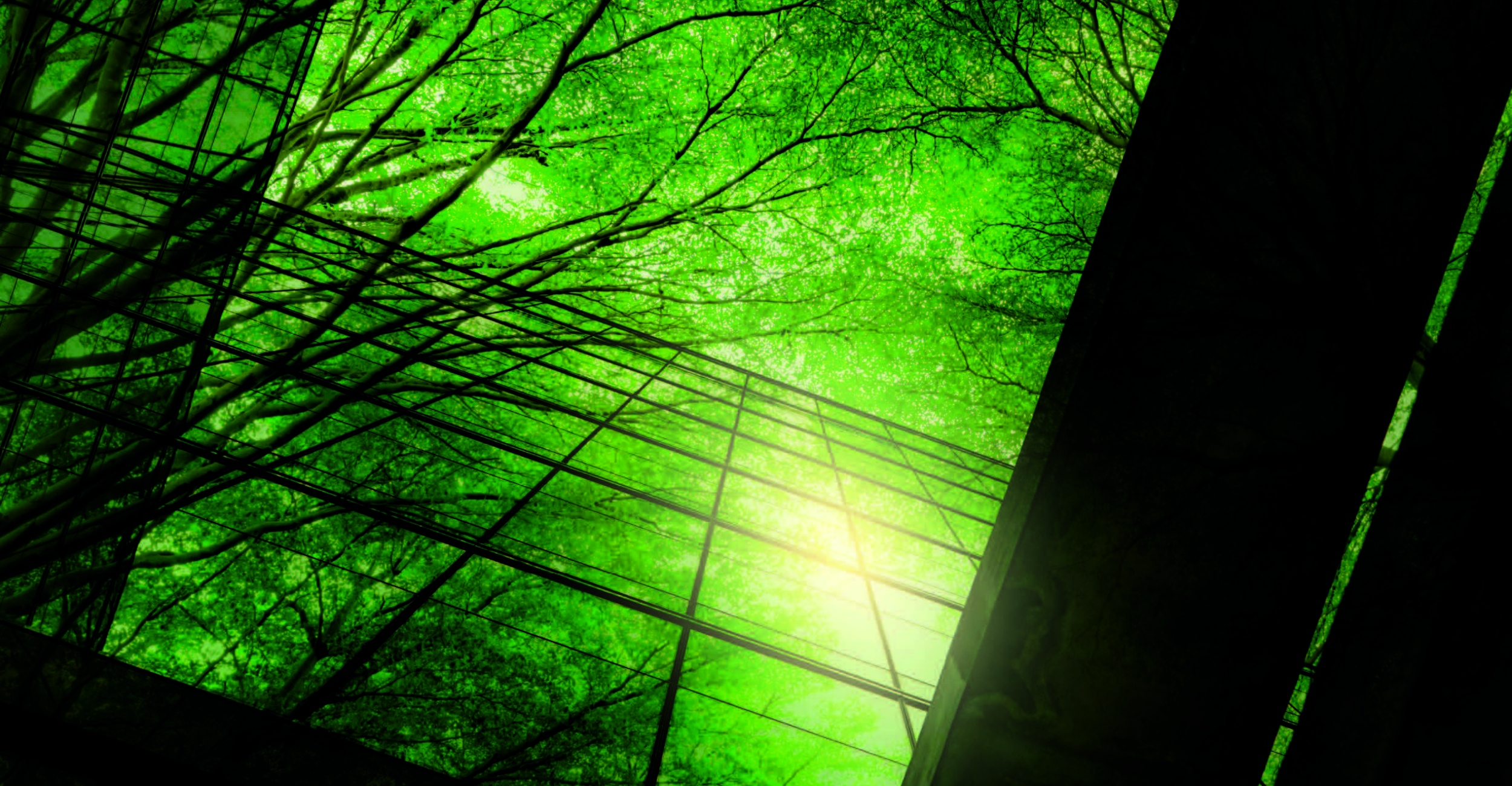 Biomimetics – what it means