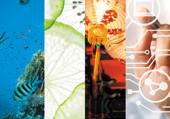 Thematic investing is about transforming megatrends into investment opportunities